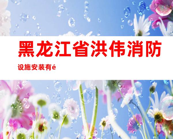黑龙江省洪伟消防设施安装有限公司